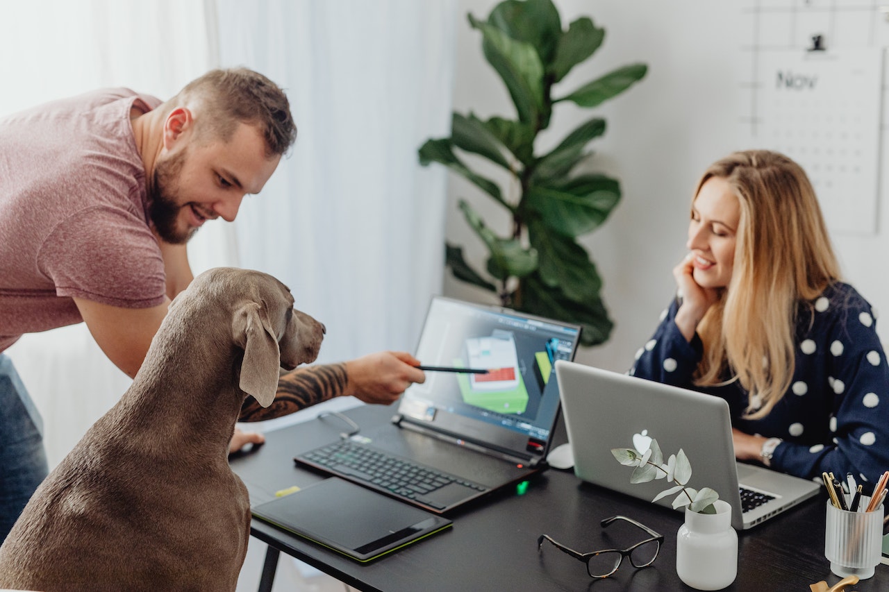 Photo of a workplace tradition where employees bring their pets to work.